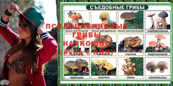 трава Алексеевка